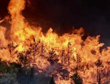 Κρήτη: Εκκενώθηκε οικισμός λόγω της πυρκαγιάς στο Κακόπετρο